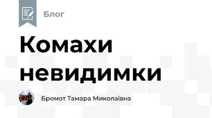 Комахи невидимки