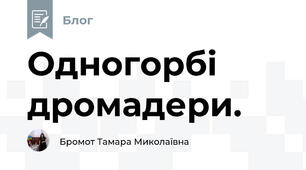 Одногорбі дромадери.
