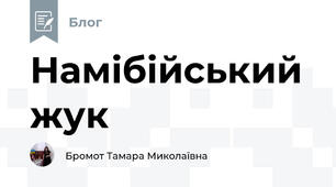 Намібійський жук