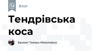 Тендрівська коса