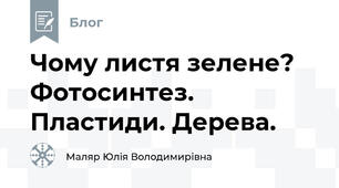 Чому листя зелене? Фотосинтез. Пластиди. Дерева. 