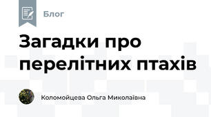 Загадки про перелітних птахів