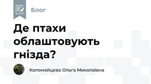 Де птахи облаштовують гнізда?