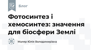 Фотосинтез і хемосинтез: значення для біосфери Землі