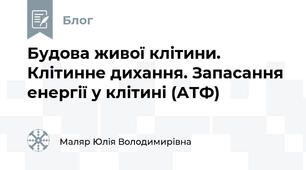 Будова живої клітини. Клітинне дихання. Запасання енергії у клітині (АТФ)