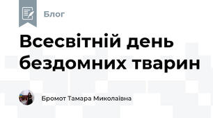 Всесвітній день бездомних тварин