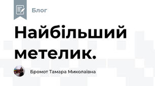 Найбільший метелик.