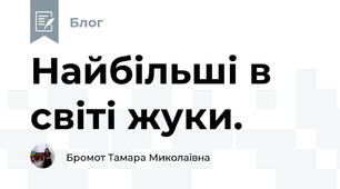 Найбільші в світі жуки.