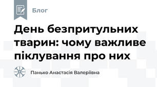 День безпритульних тварин: чому важливе піклування про них