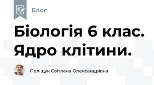 Біологія 6 клас. Ядро клітини.