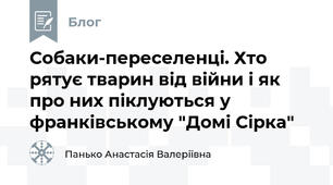 Собаки-переселенці. Хто рятує тварин від війни і як про них піклуються у франківському "Домі Сірка"