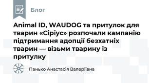 Animal ID, WAUDOG та притулок для тварин «Сіріус» розпочали кампанію підтримання адопції безхатніх тварин — візьми тварину із притулку