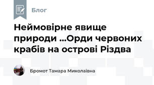 Неймовірне явище природи ...Орди червоних крабів на острові Різдва
