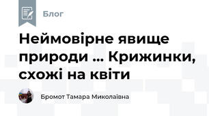 Неймовірне явище природи ... Крижинки, схожі на квіти