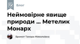 Неймовірне явище природи ... Метелик Монарх