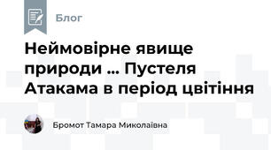 Неймовірне явище природи ... Пустеля Атакама в період цвітіння