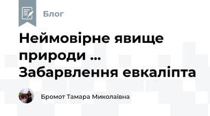 Неймовірне явище природи ... Забарвлення евкаліпта