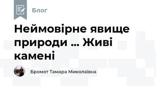 Неймовірне явище природи ... Живі камені