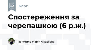 Спостереження за черепашкою (6 р.ж.)