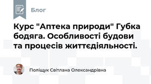 Курс "Аптека природи" Губка бодяга. Особливості будови та процесів життєдіяльності.