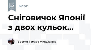 Сніговичок Японії з двох кульок...