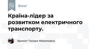 Країна-лідер за розвитком електричного транспорту.
