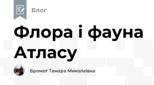 Флора і фауна Атласу