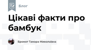 Цікаві факти про бамбук