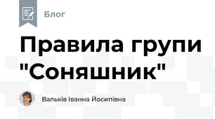 Правила групи "Соняшник"