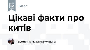 Цікаві факти про китів
