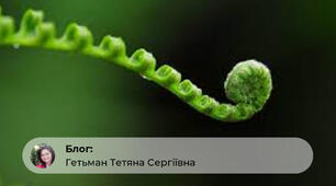 Папороті та пальми