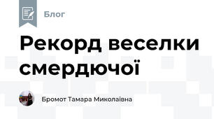 Рекорд веселки смердючої