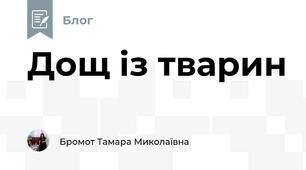 Дощ із тварин