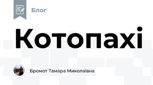 Котопахі