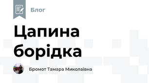 Цапина борідка