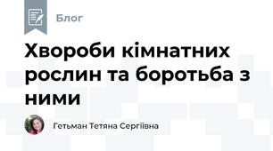 Хвороби кімнатних рослин та боротьба з ними