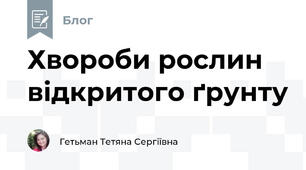 Хвороби рослин відкритого ґрунту