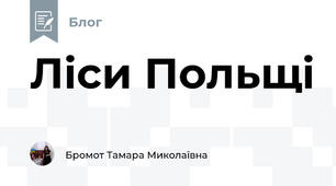 Ліси Польщі
