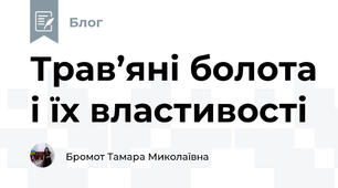 Трав’яні болота і їх властивості