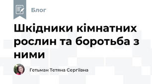 Шкідники кімнатних рослин та боротьба з ними