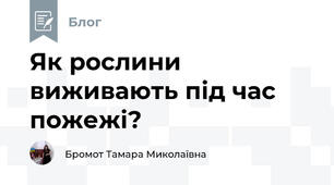 Як рослини виживають під час пожежі?