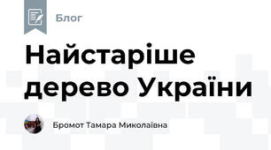 Найстаріше дерево України