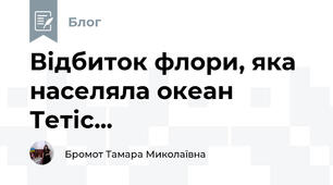 Відбиток флори, яка населяла океан Тетіс...