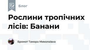 Рослини тропічних лісів: Банани