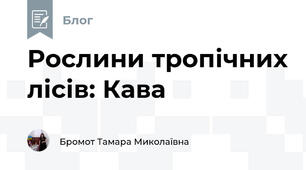 Рослини тропічних лісів: Кава