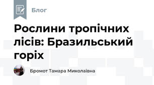 Рослини тропічних лісів: Бразильський горіх