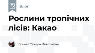 Рослини тропічних лісів: Какао