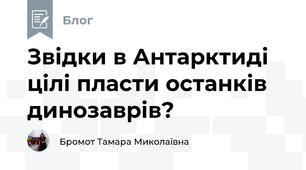 Звідки в Антарктиді цілі пласти останків динозаврів?