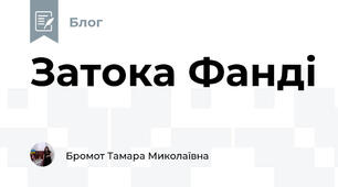 Затока Фанді 