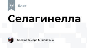 Селагинелла